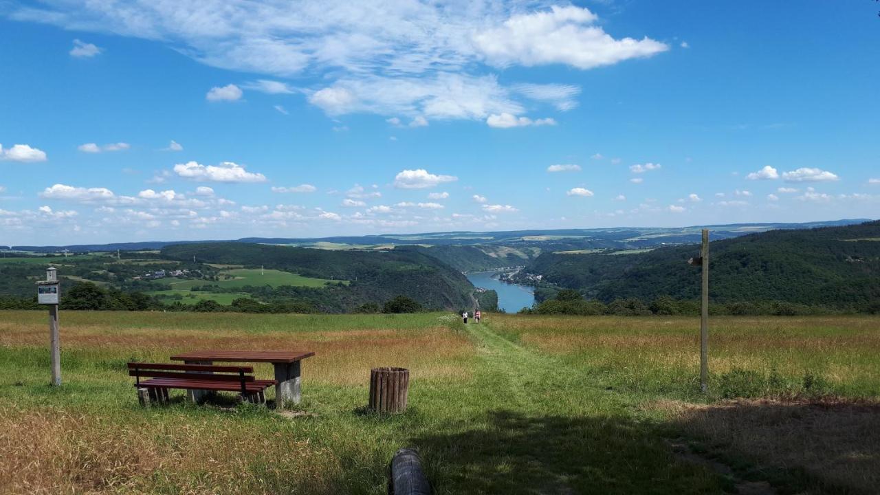 4-Sterne Ferienwohnung Carbach -Perfekt Fuer Radfahrer- Boppard Kültér fotó